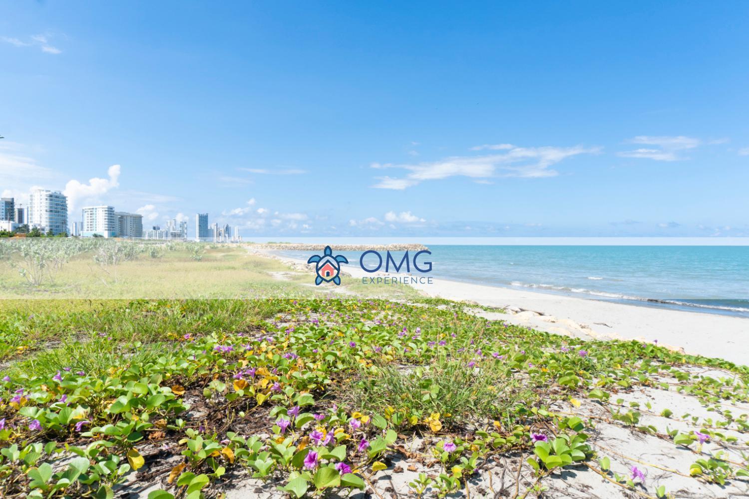 Cb741 | Estilo Moderno Y Comodidad En